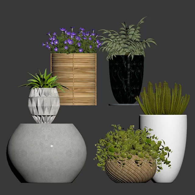 PLANT 3D MODELS – FLOWER 3D MODELS – 571