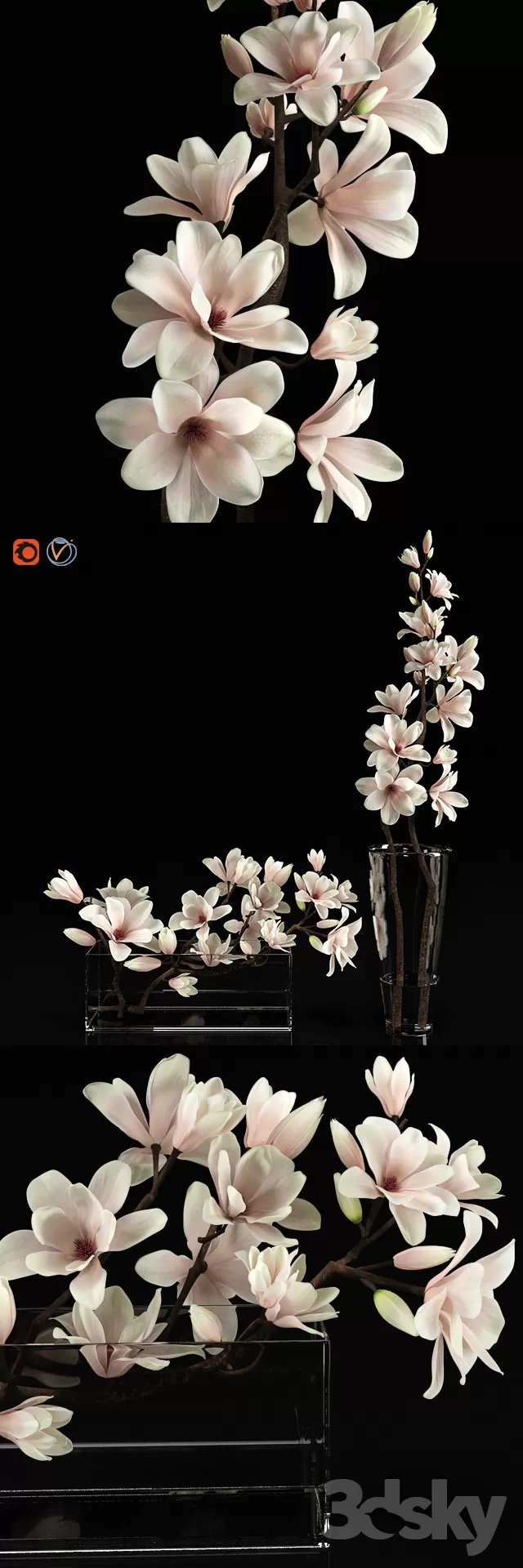 FLOWER – PLANT 3D MODELS – 577