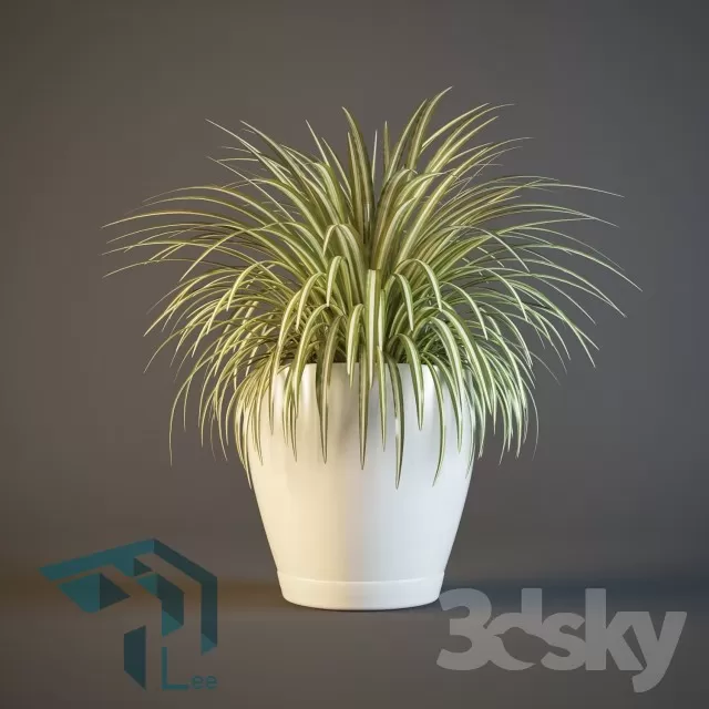 PRO PLANT 3D MODELS – 686