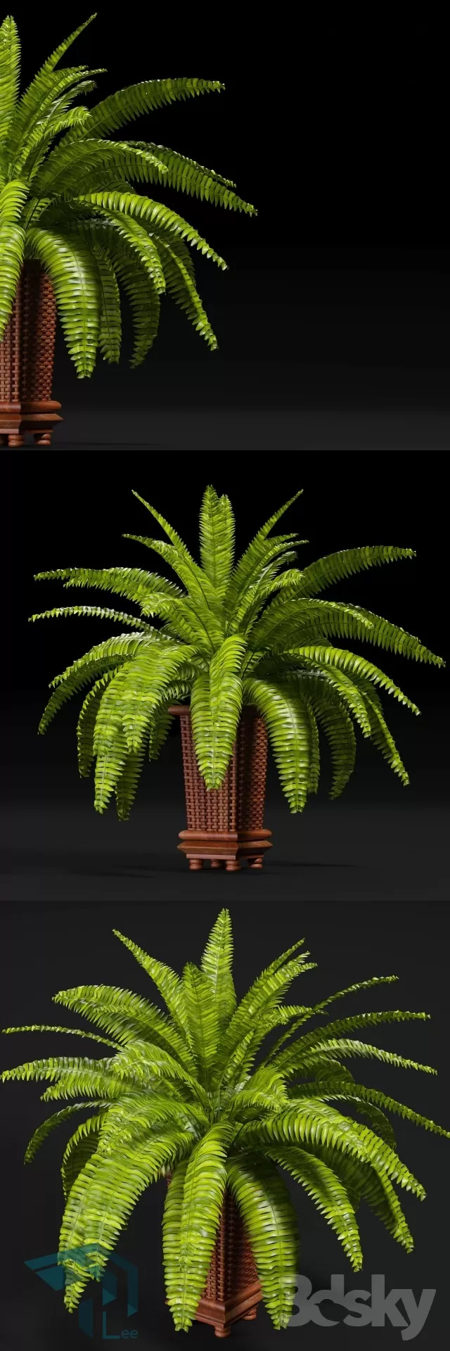 PRO PLANT 3D MODELS – 692