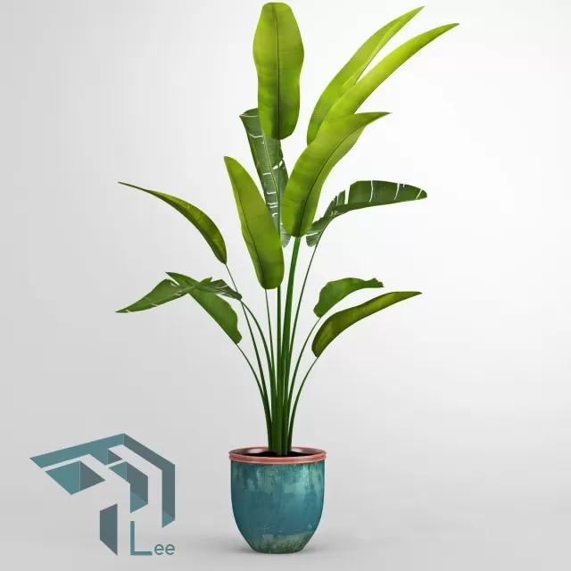 PRO PLANT 3D MODELS – 704