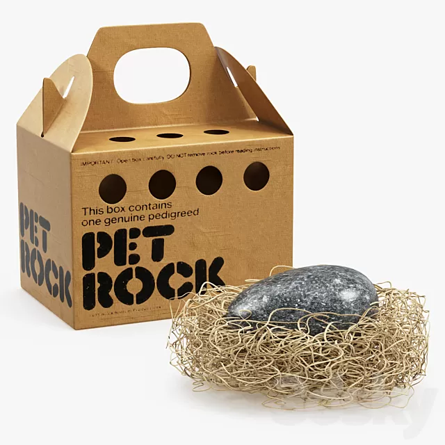 Children – Toy 3D Models – Pet Rock