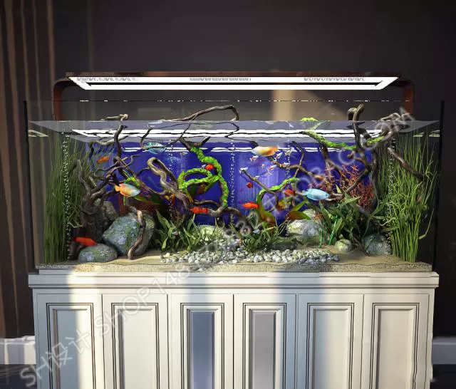Aquarium Fish – 3Dsmax Models – 0007