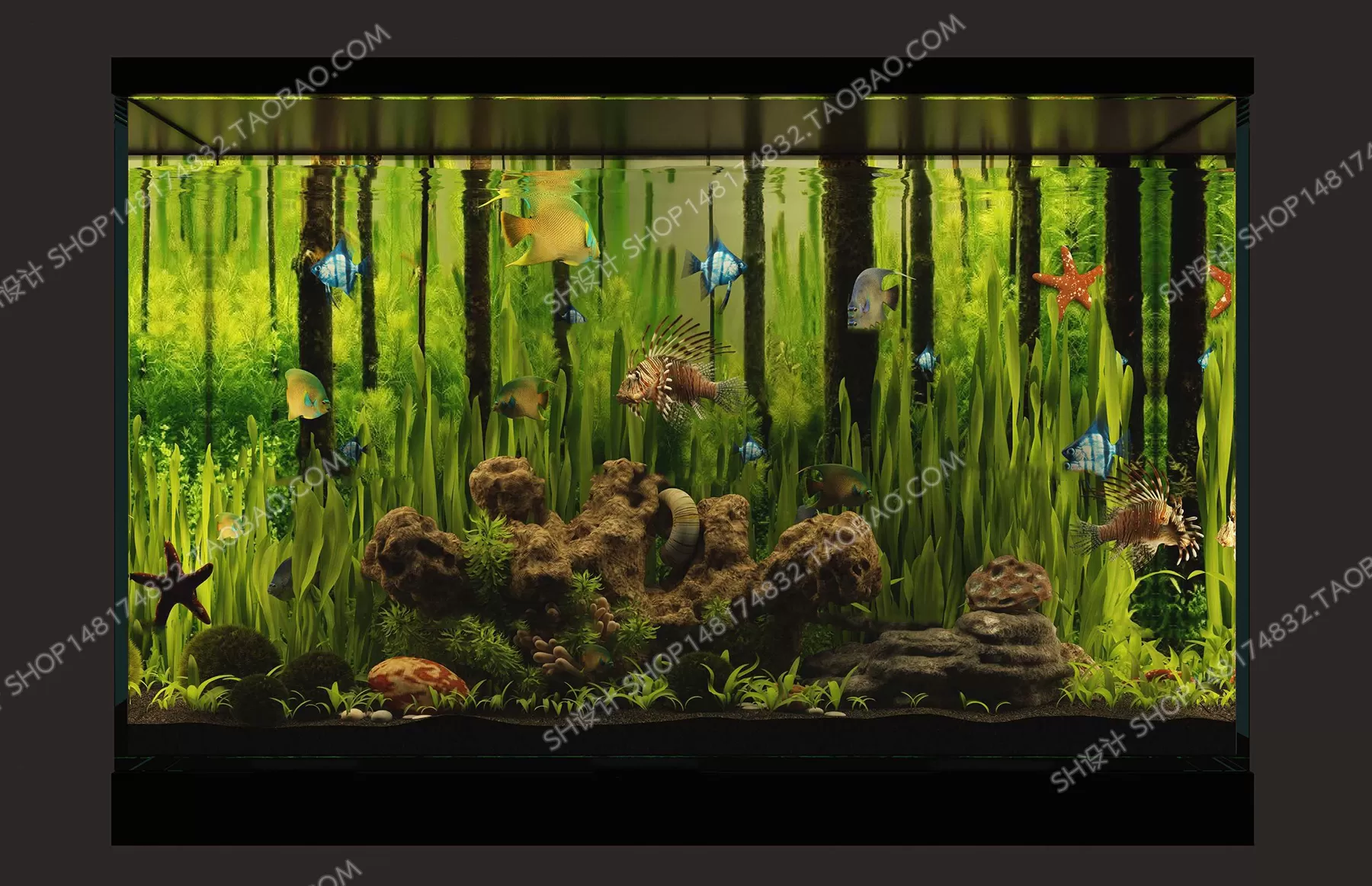 Aquarium Fish – 3Dsmax Models – 0008