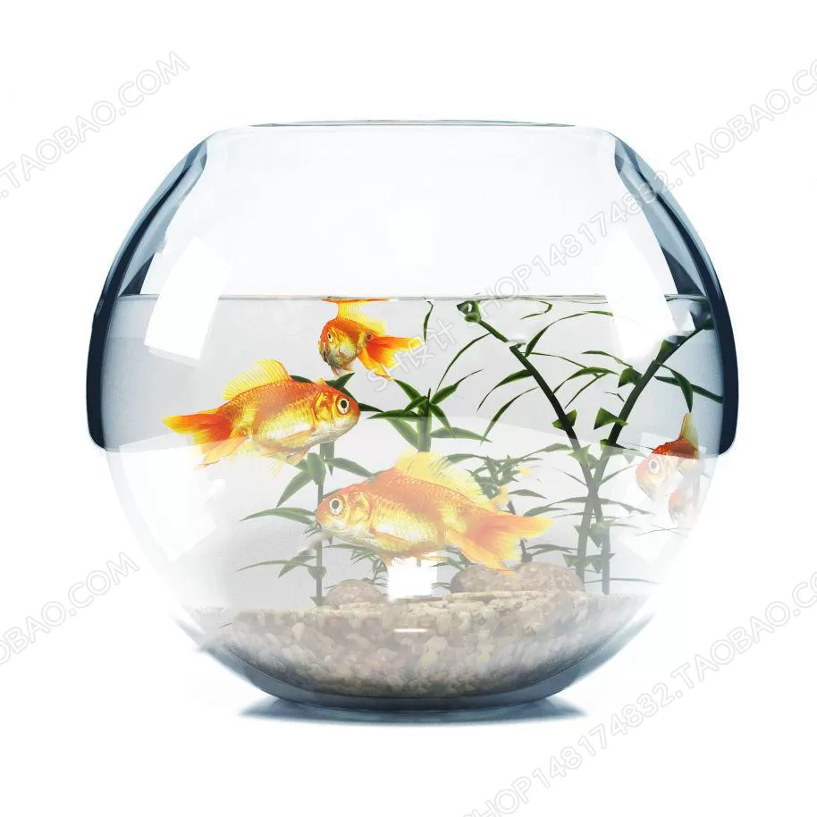 Aquarium Fish – 3Dsmax Models – 0023