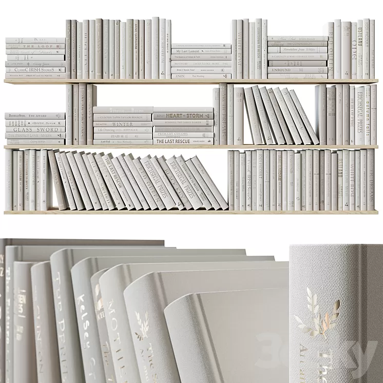 A set of beige books Books light beige 3dskymodel