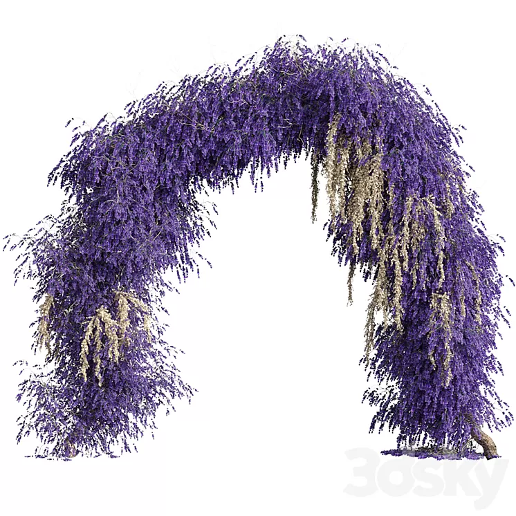Arch of lavender flowers 3dskymodel