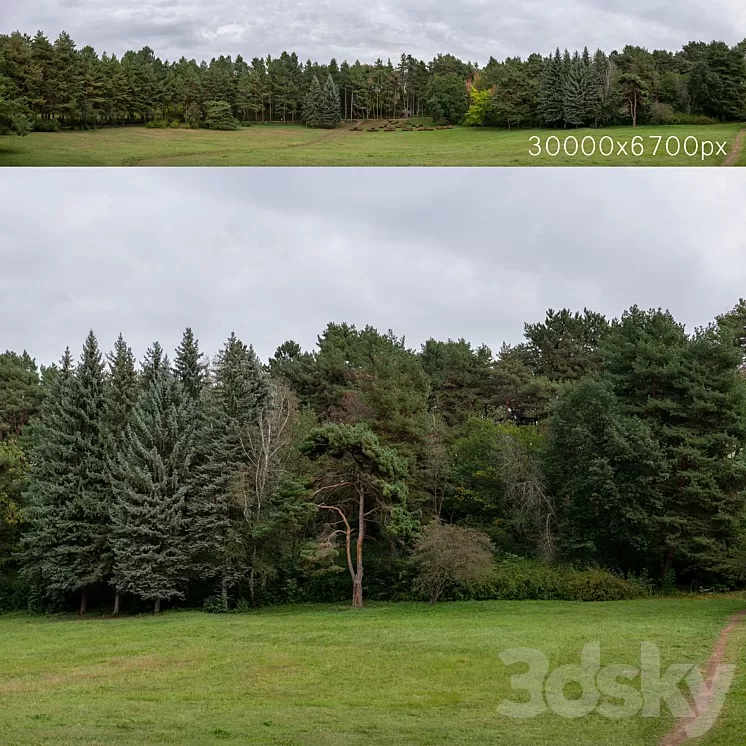 Autumn panorama with trees. 30k 3dskymodel