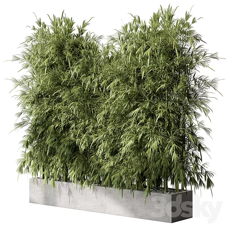 Bamboo Plants – Outdoor Plants 468 3dskymodel