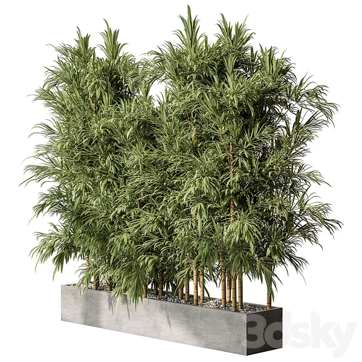 Bamboo Plants – Outdoor Plants 469 3dskymodel
