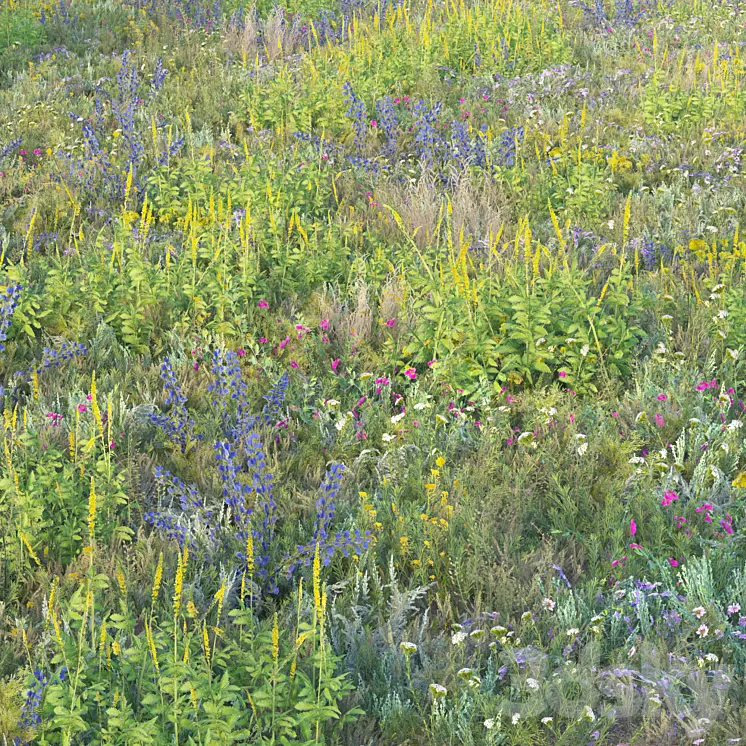 Blooming meadow grass 2 3dskymodel