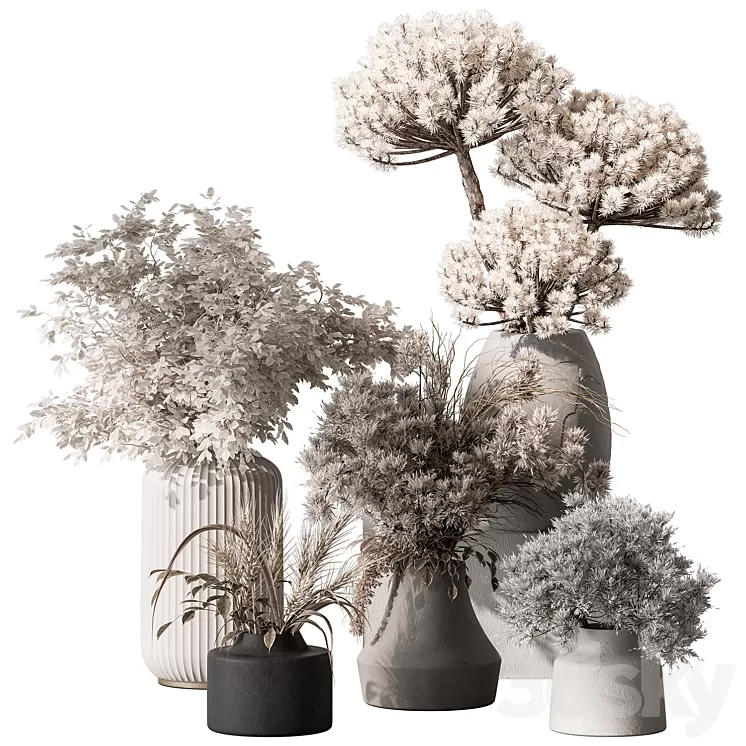 Bouquet – Dried Plant Set 105 3dskymodel