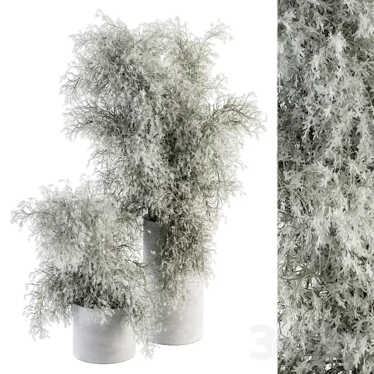 Bouquet – Green Branch in Concrete vase 79 3dskymodel
