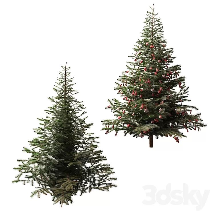 Christmas tree and Christmas tree 3dskymodel