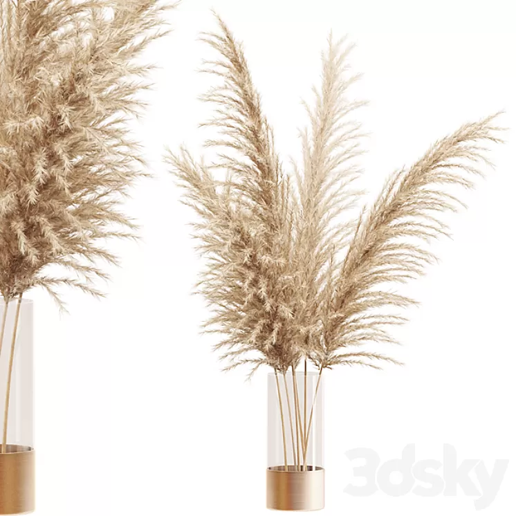 Dried flower pampas grass in glass gold vase 3dskymodel