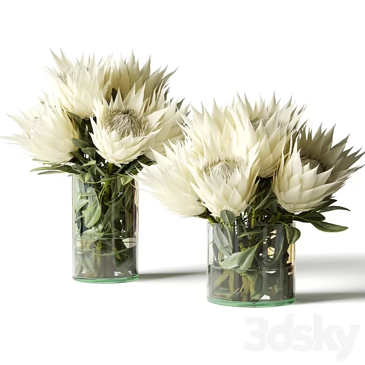 Flower Set white proteas 3dskymodel