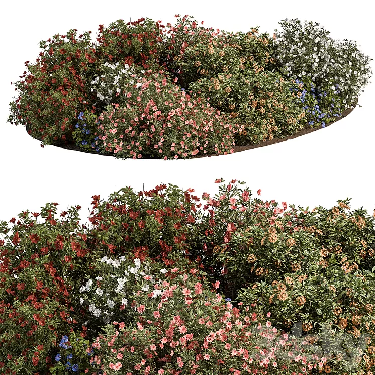 Garden colorful Flower Bush – Set 452 3dskymodel