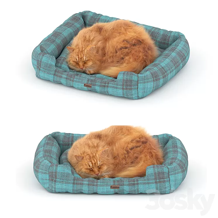 Ginger cat on the bed 3dskymodel