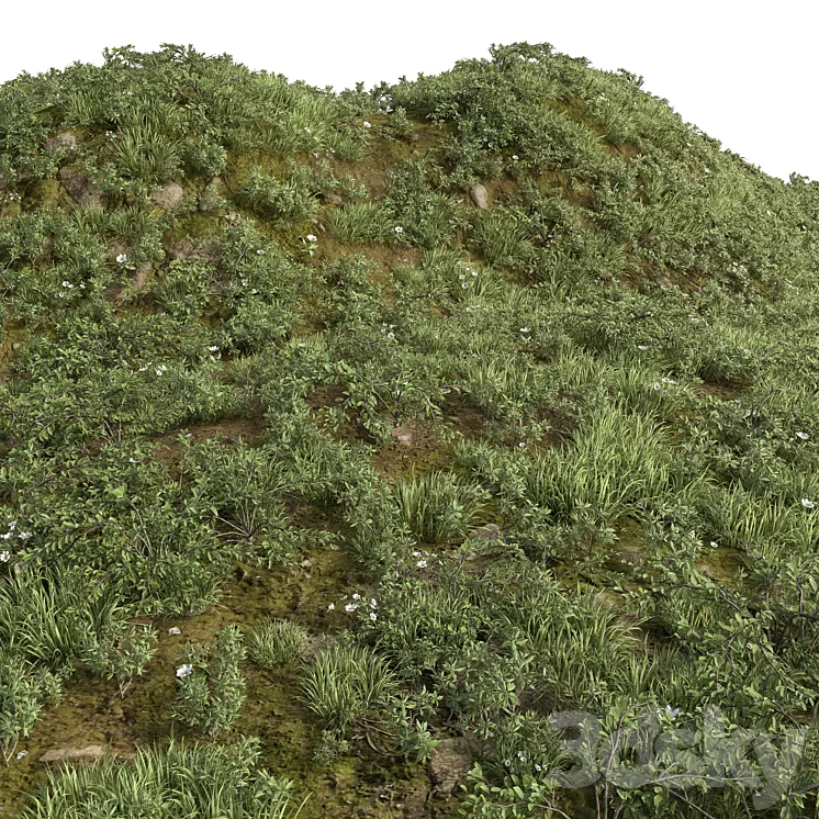 GRASS COLLECTION FOR LANDSCAPE NO12 3dskymodel