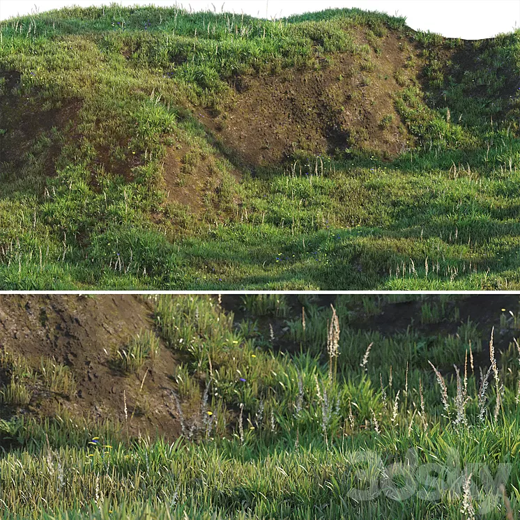 Grass on the slope 3dskymodel