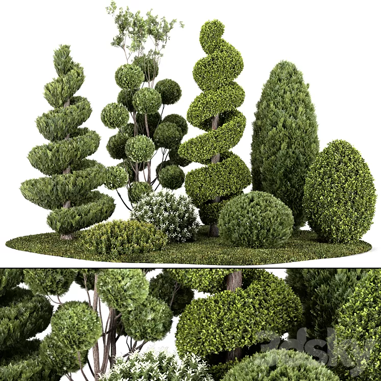 Group outdoor plants & Hedges 3dskymodel