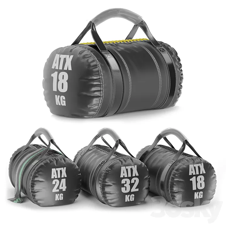 Gym Weight Atx Strongman Bag 3dskymodel