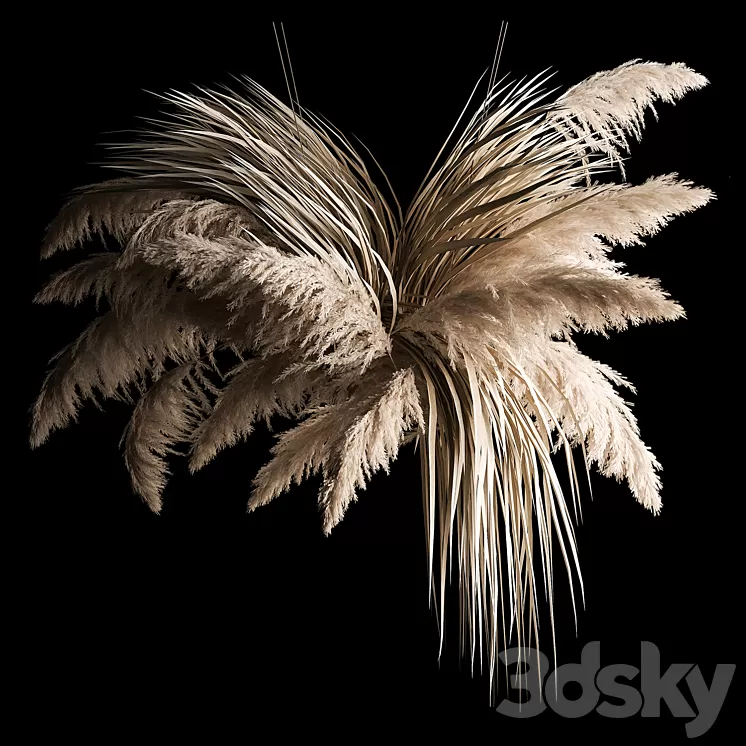 Hanging bouquet of dry reeds and pampas grass for decoration and interior. 266. 3dskymodel