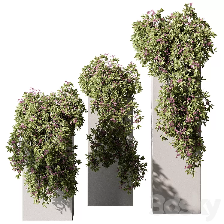 Hanging Plant in Box – Outdoor Plants 454 3dskymodel