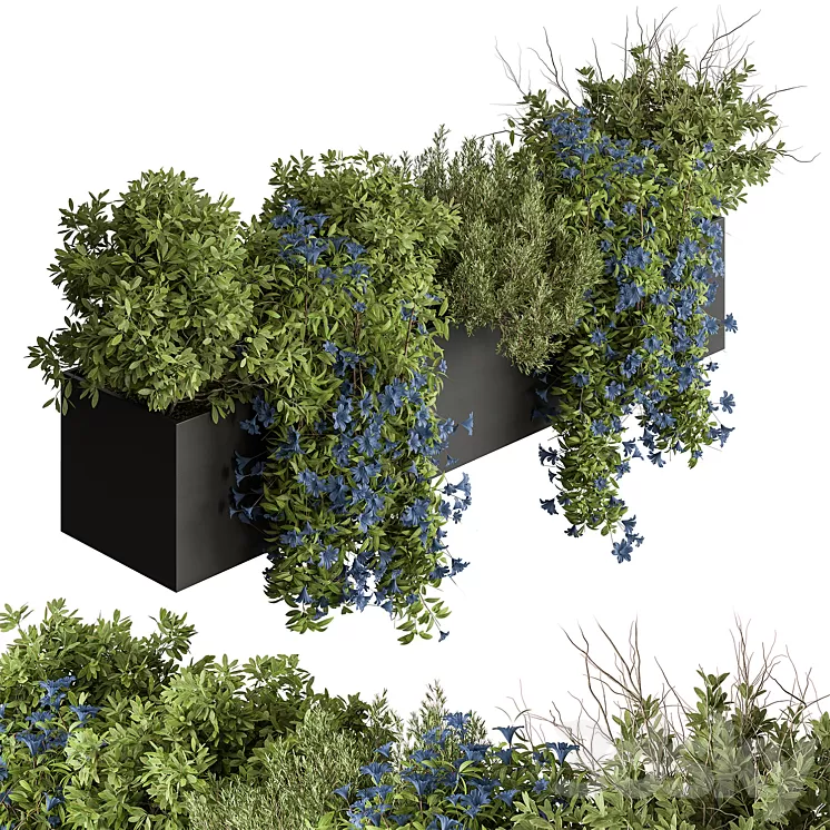 Hanging Plant – Outdoor Plants 503 3dskymodel