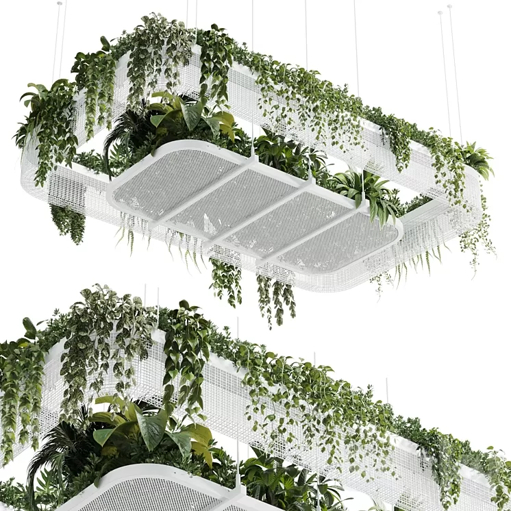 Hanging plants – indoor plant 323 vray 3dskymodel