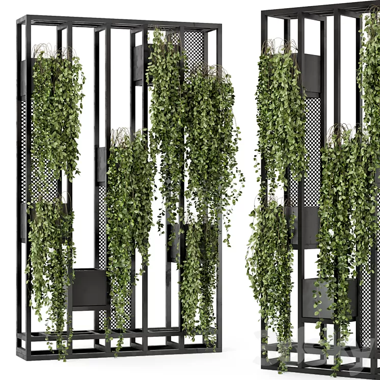 Indoor Hanging Plants in Metal Stand – Set 848 3dskymodel