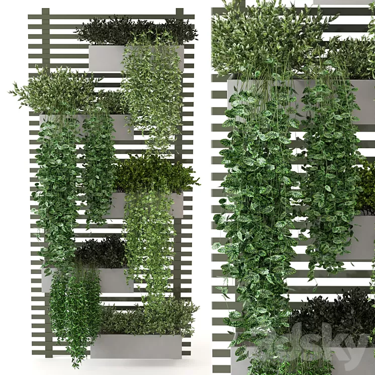 Indoor Plants Collection – Set 393 3dskymodel