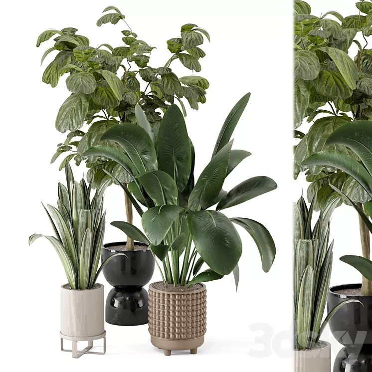 Indoor Plants in Ferm Living Bau Pot Large – Set 1044 3dskymodel