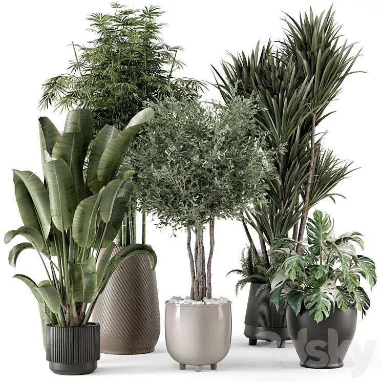 Indoor Plants in Ferm Living Bau Pot Large – Set 1325 3dskymodel