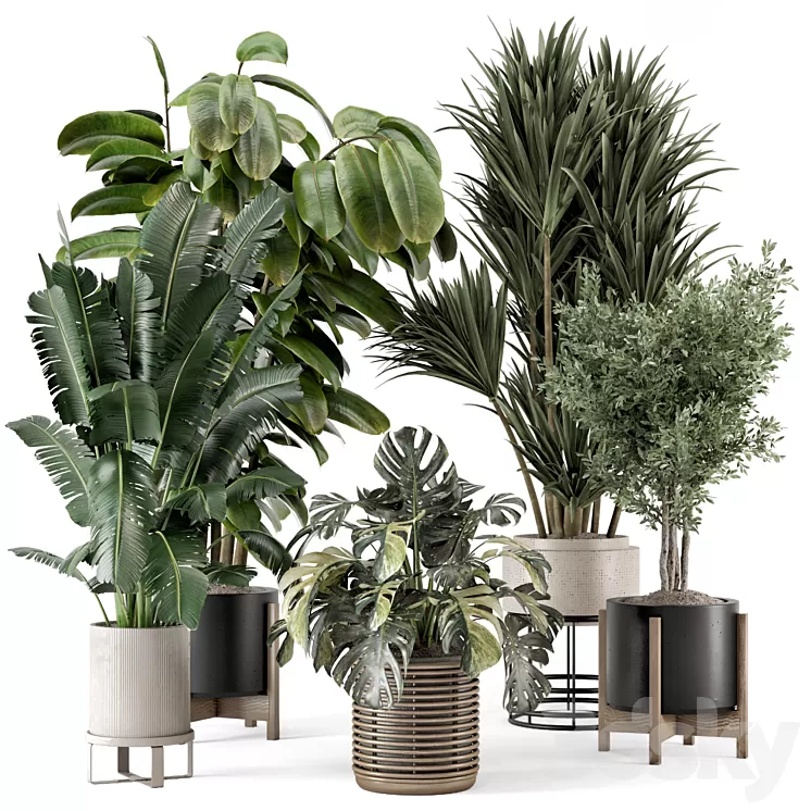 Indoor Plants in Ferm Living Bau Pot Large – Set 1328 3dskymodel
