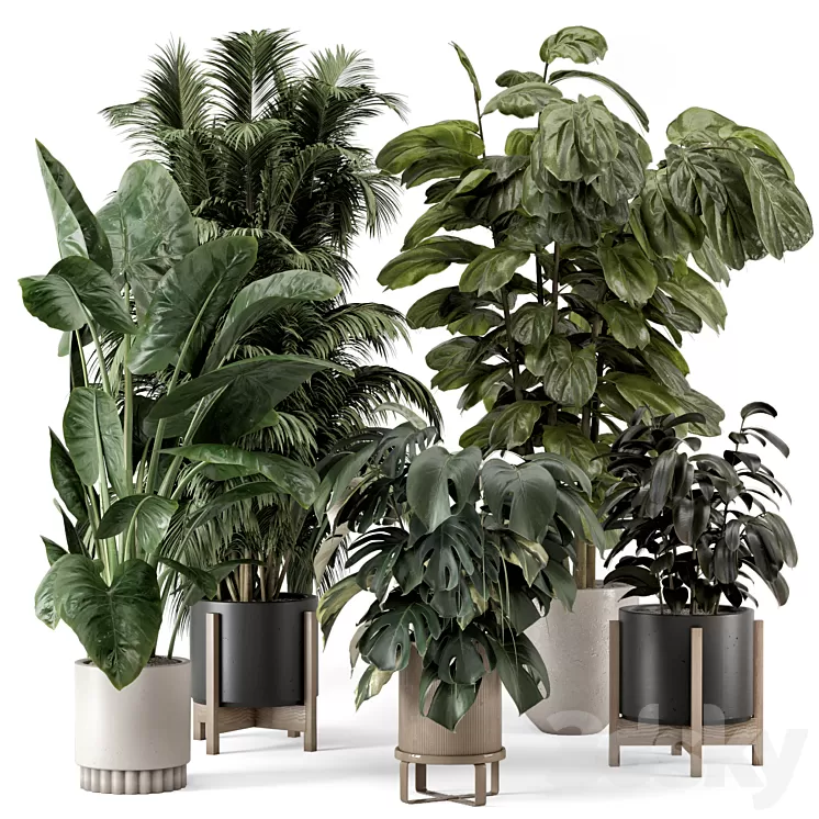 Indoor Plants in Ferm Living Bau Pot Large – Set 1361 3dskymodel