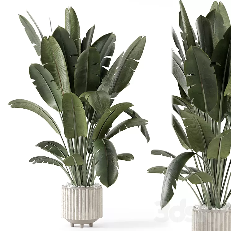 Indoor Plants in Ferm Living Bau Pot Large – Set 1448 3dskymodel