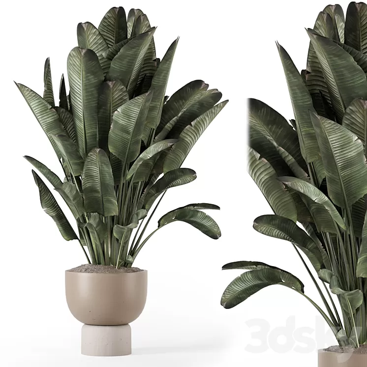 Indoor Plants in Ferm Living Bau Pot Large – Set 1507 3dskymodel