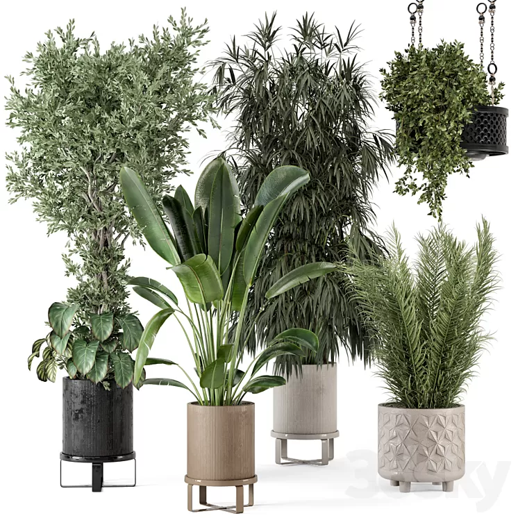 Indoor Plants in Ferm Living Bau Pot Large – Set 474 3dskymodel