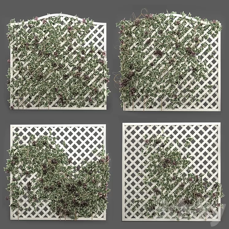 ivy grid panel( 4 different ivy composition) 3dskymodel