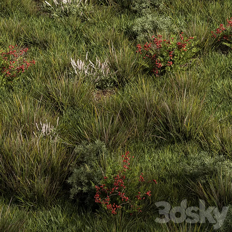 Nature Meadow – Grass Set 17 3dskymodel