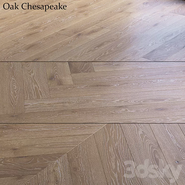 Oak Chesapeake 3dskymodel