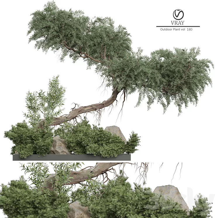 Outdoor Plant 180 3dskymodel