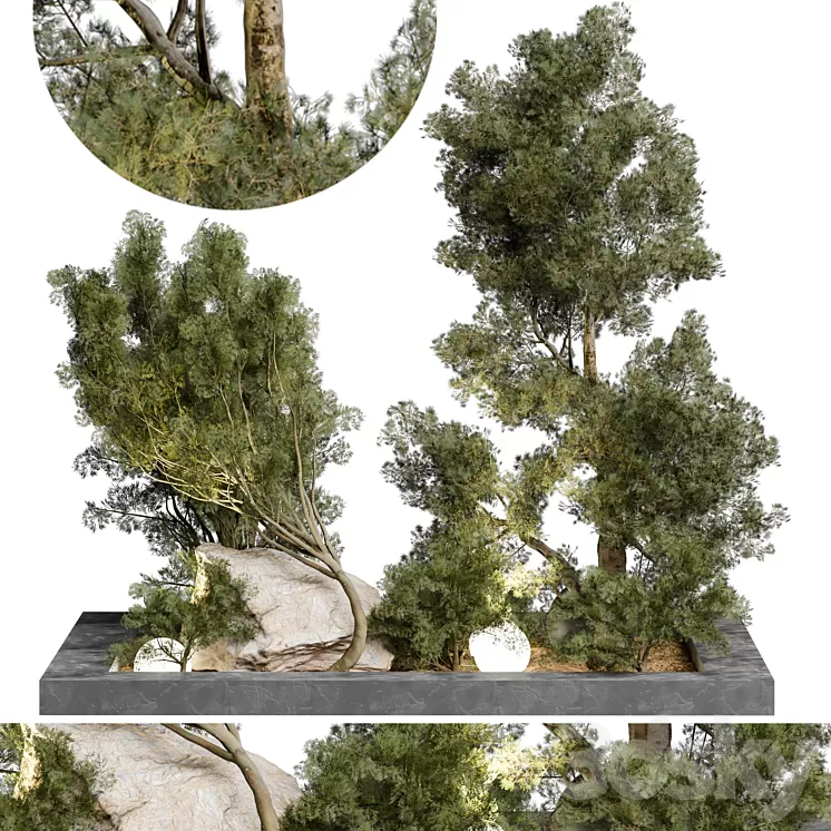 Outdoor Plant 65 3dskymodel