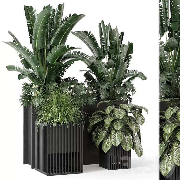 Outdoor Plants Bush in Metal Pot – Set 1074 3dskymodel