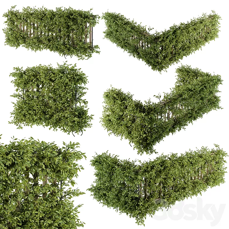 Outdoor Wood Fence with Ivy Plants – Fence 07 3dskymodel