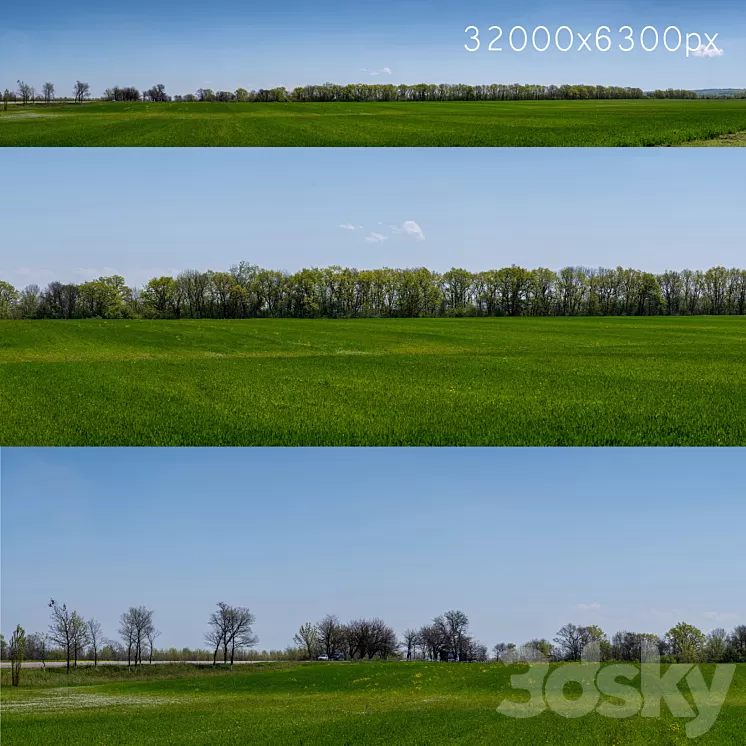 Panorama of a green field with flowers and trees. 32k 3dskymodel