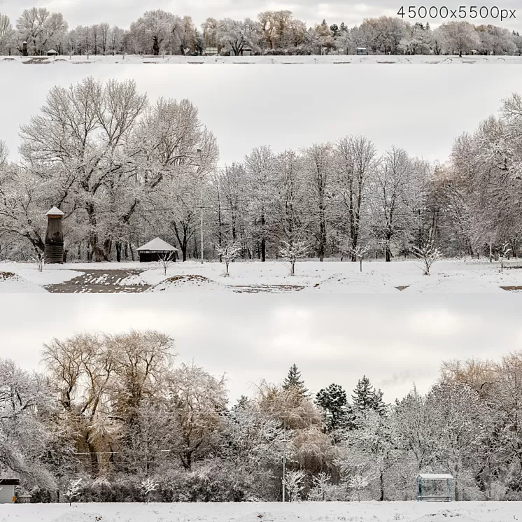 Panorama of the park and snow-covered trees. 45k 3dskymodel