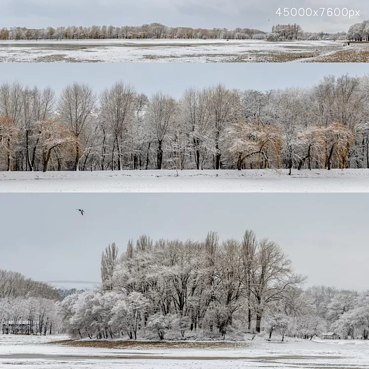 Panorama of the park with a lake and snow-covered trees. 45k 3dskymodel