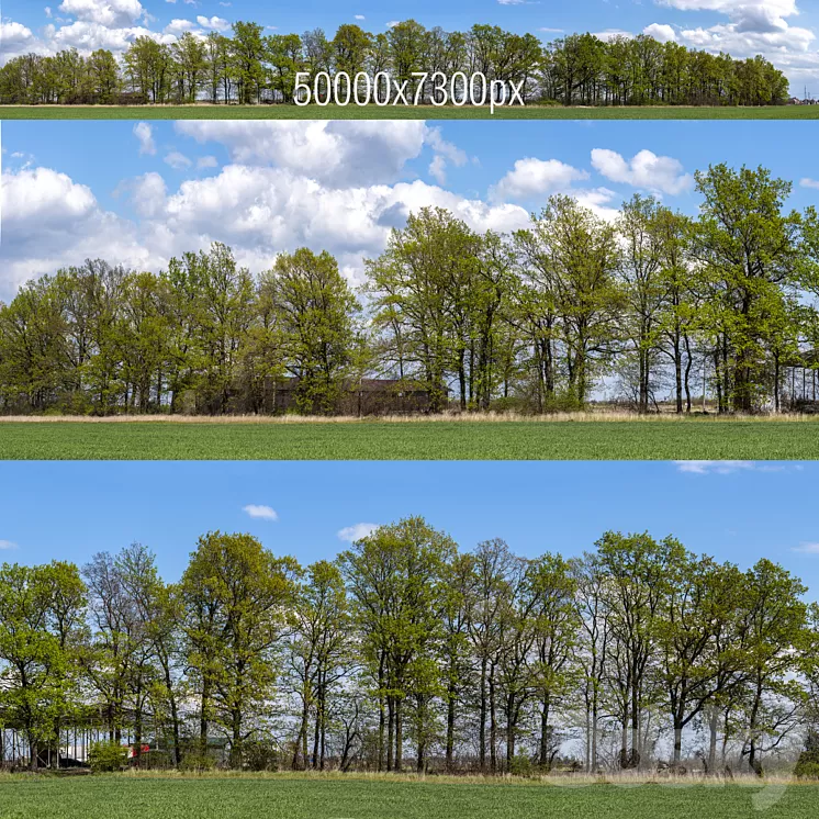 Panorama with Trees v2. 50k 3dskymodel